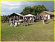 050714-1013.jpg