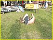 050714-1110.jpg