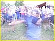 050714-1236.jpg
