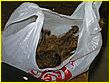050714-1001.jpg