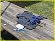 050714-1126.jpg
