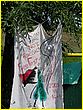 050714-1150.jpg