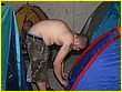 060831-1087.jpg