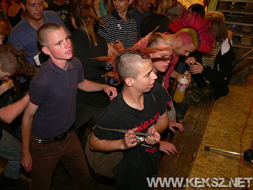 060902-1017-linx.jpg
