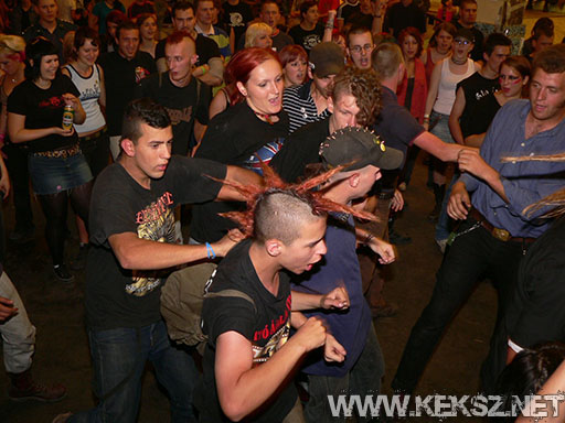 060902-1025-linx.jpg