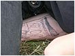 070712-1064.jpg
