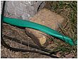 070712-1114-nesze.jpg