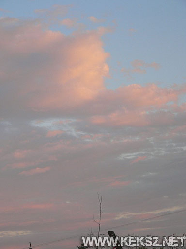080718-1099.jpg