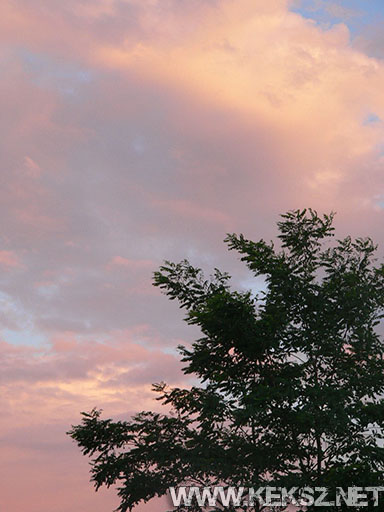 080718-1100.jpg