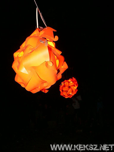 080719-1195.jpg